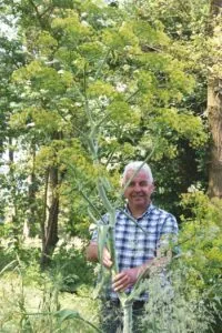 Alfons Holtkamp bij Ferula communis - De Tuin in vier seizoenen 48 - herfst 2024