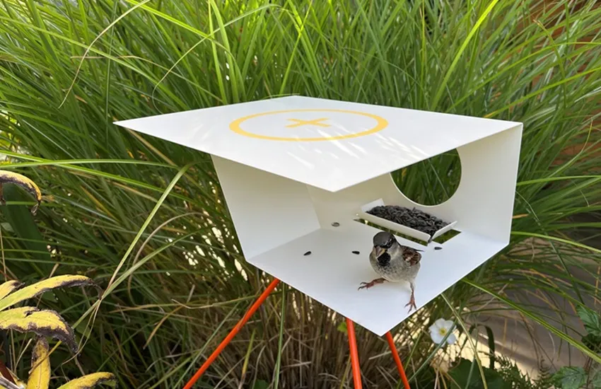 Birdflirt - De Tuin in vier seizoenen