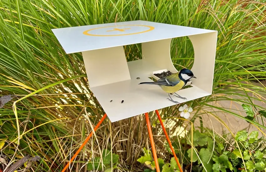 Birdflirt - De Tuin in vier seizoenen