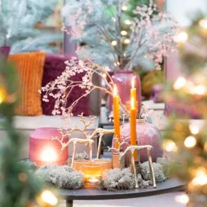 Tuincentrum Huiting - De Tuin in Vier Seizoenen