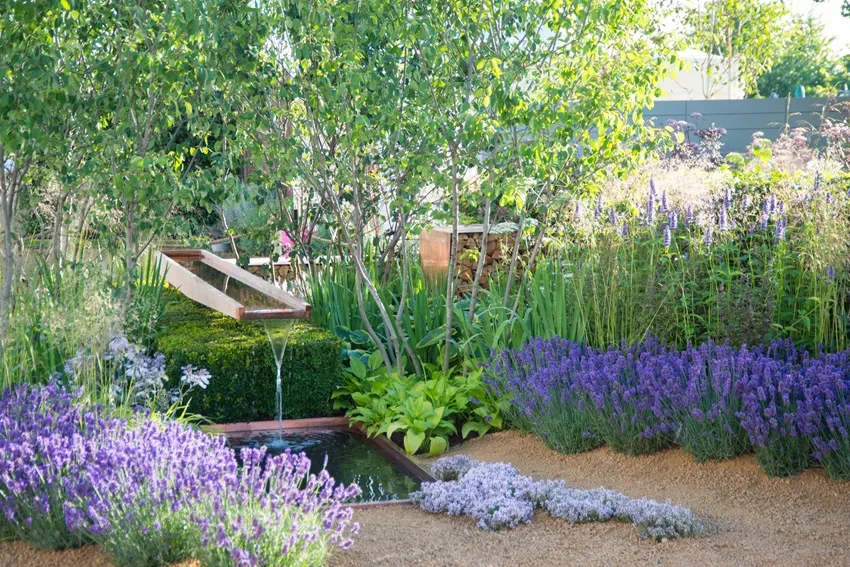 Cosmic Future Tuintrends 2025