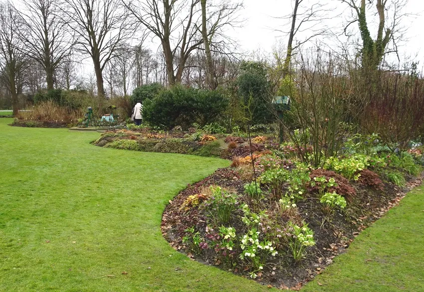 Helleborusborder de stekkentuin - De Tuin in vier seizoenen