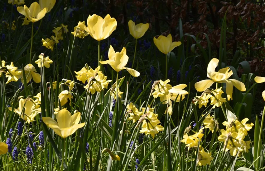 Het tuinpad op - De Tuin in vier seizoenen