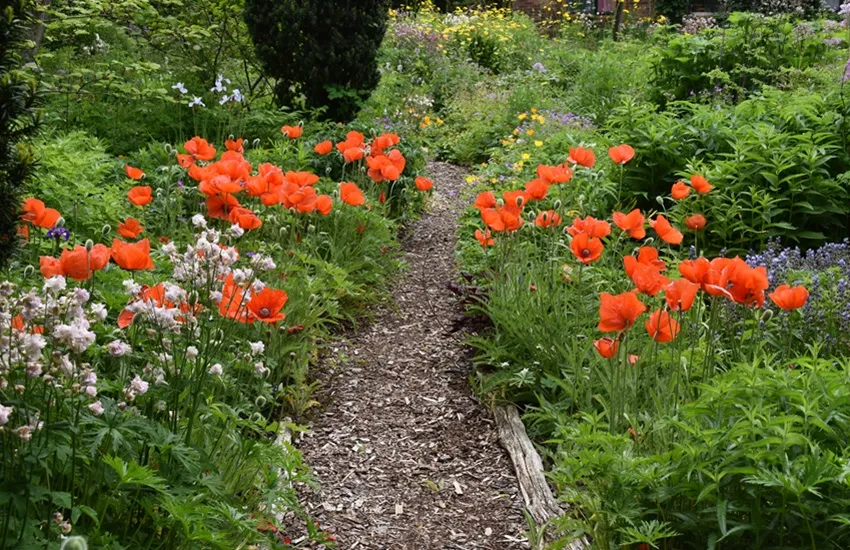 Tuinenmarathon juni De Tuin in vier seizoenen