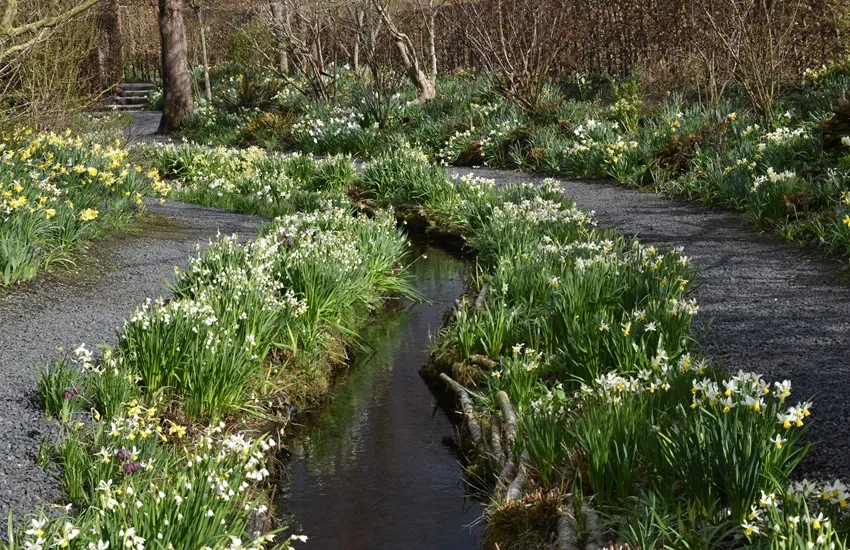 Tuinfleur Oostwold Groninger Bloembollenroute april