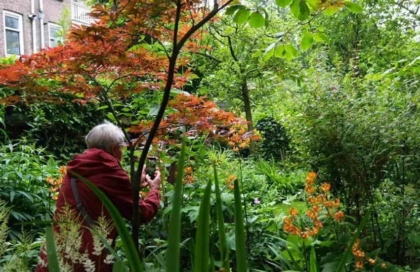 Verborgen Tuinen Rotterdam