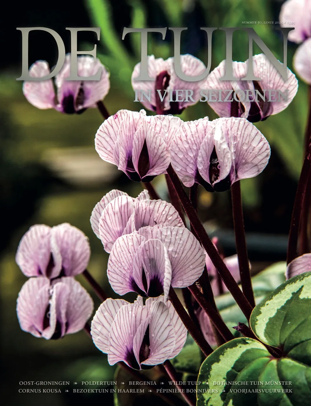 De Tuin in vier seizoenen 50 - Lente 2025