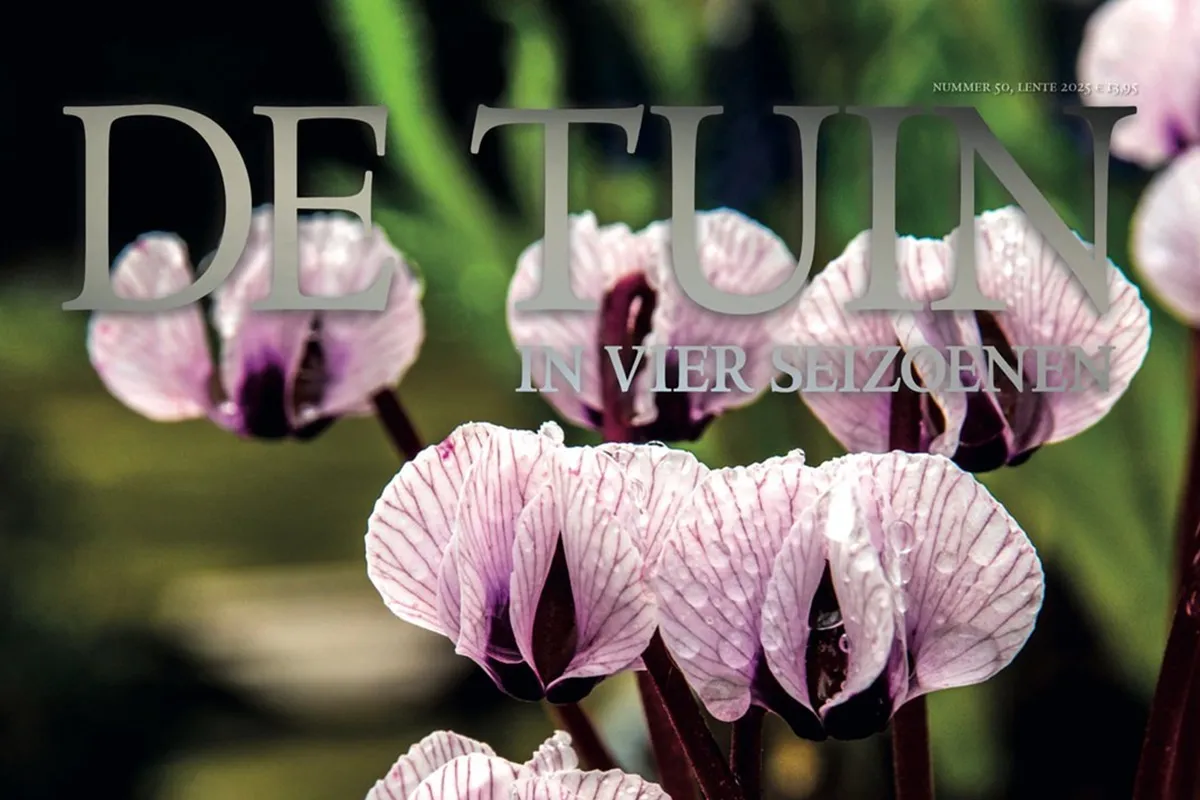 De Tuin in vier seizoenen 50