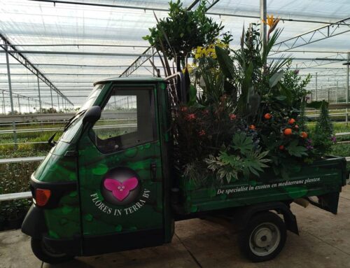 Open dagen Flores in Terra 