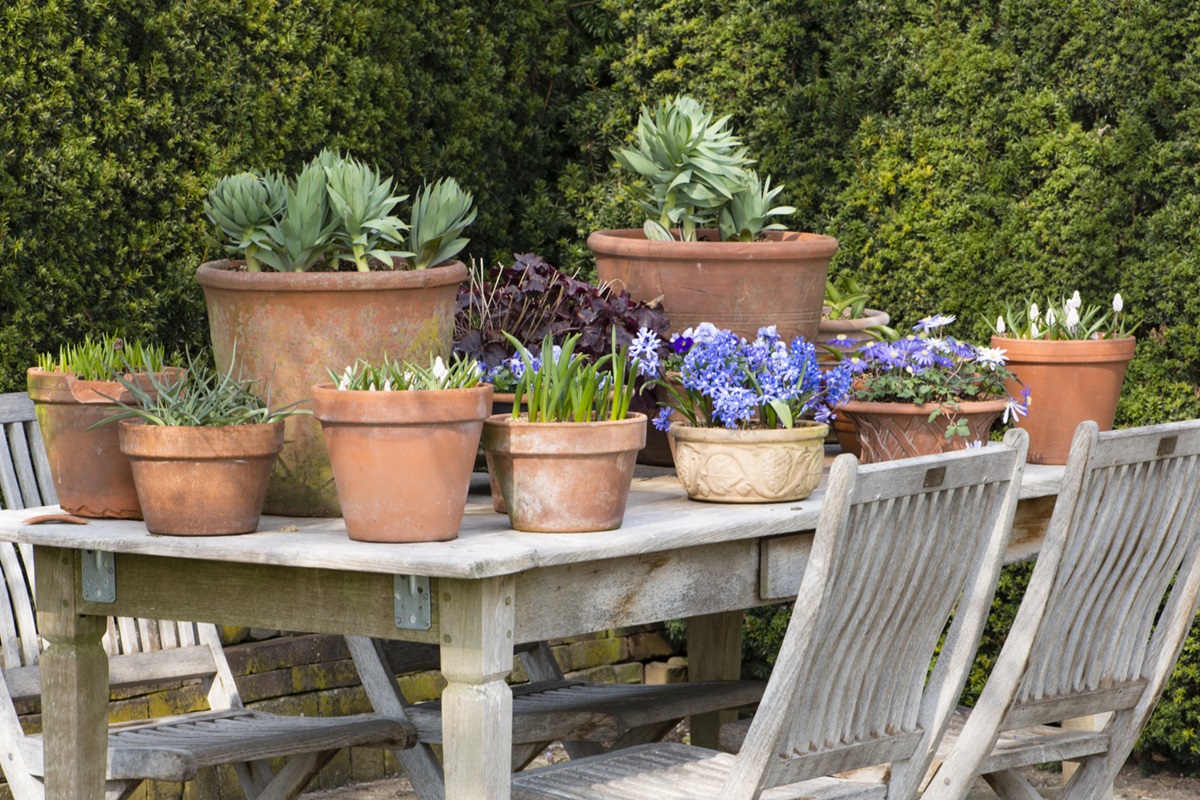 Voorjaarsbloemendag De Boschhoeve - De Tuin in vier seizoenen.