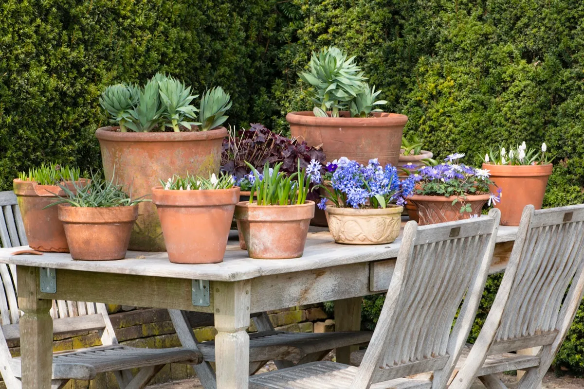 Voorjaarsbloemendag De Boschhoeve - De Tuin in vier seizoenen.