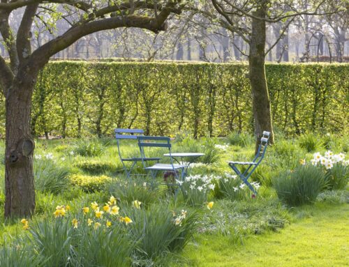 Voorjaarsbloemendag De Boschhoeve