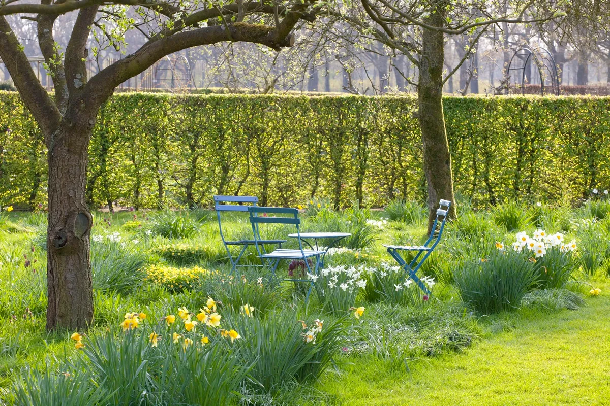 Voorjaarsbloemendag De Boschhoeve - De Tuin in vier seizoenen.