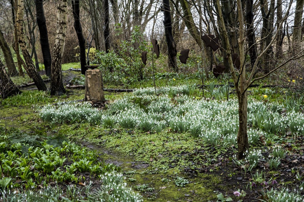 De Houtstek - De Tuin in vier seizoenen