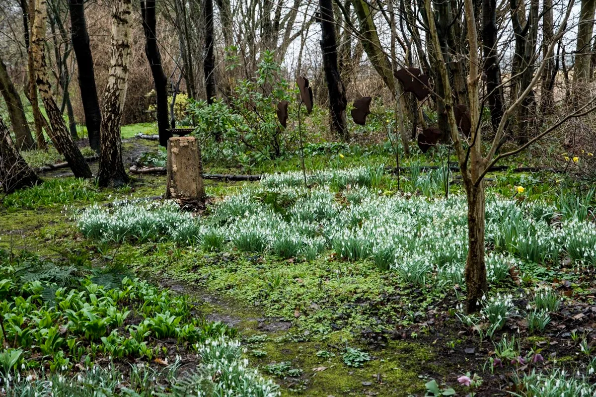 De Houtstek - De Tuin in vier seizoenen