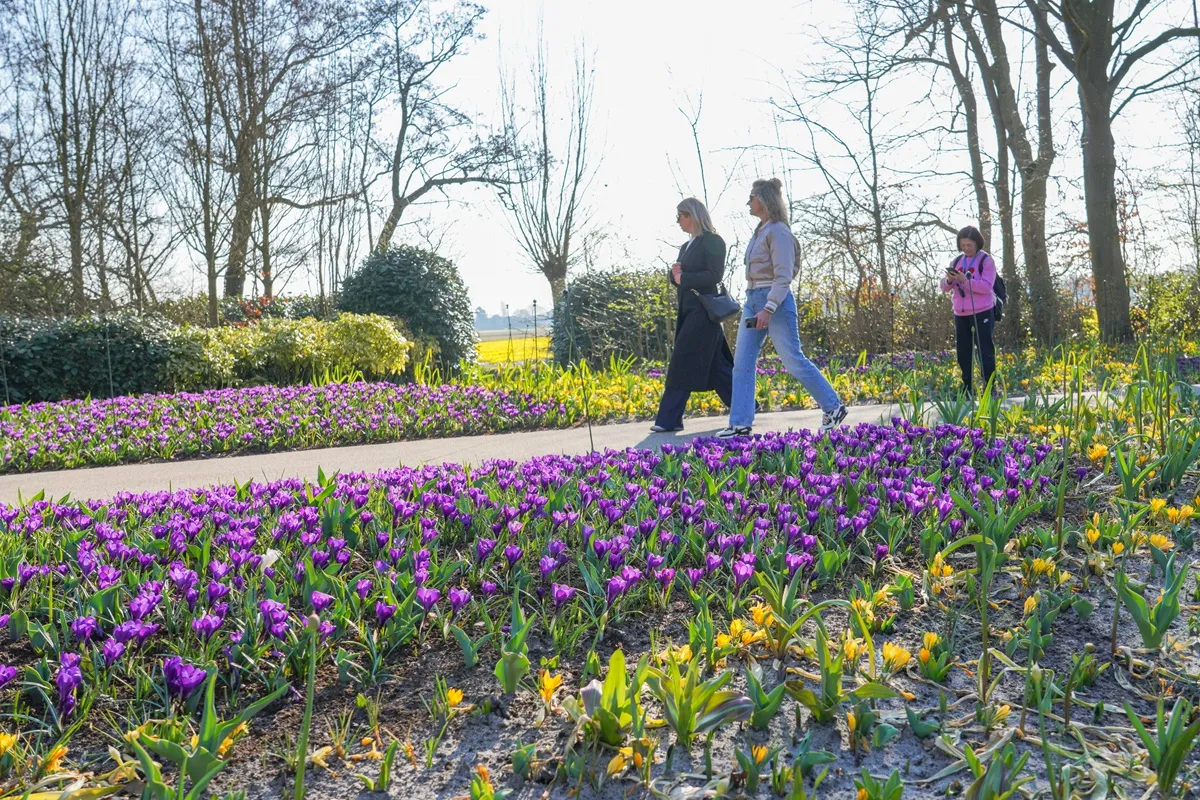 Eerste bezoekers Keukenhof - De Tuin in vier seizoenen