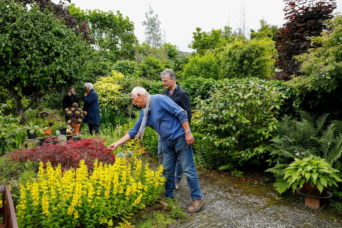 Groen & Bloei open tuinen weekend