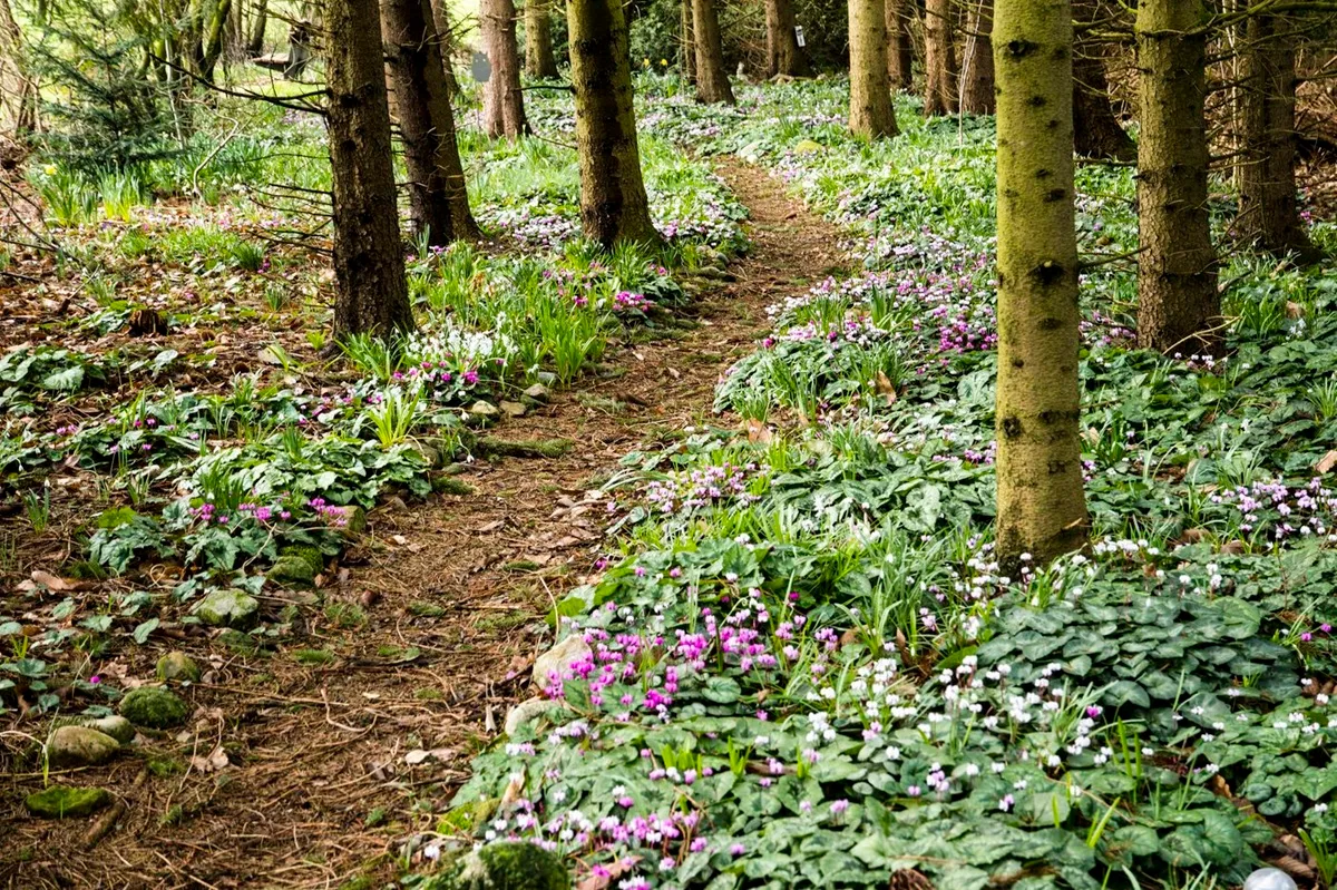 Stonefarm - DE Tuin in vier seizoenen