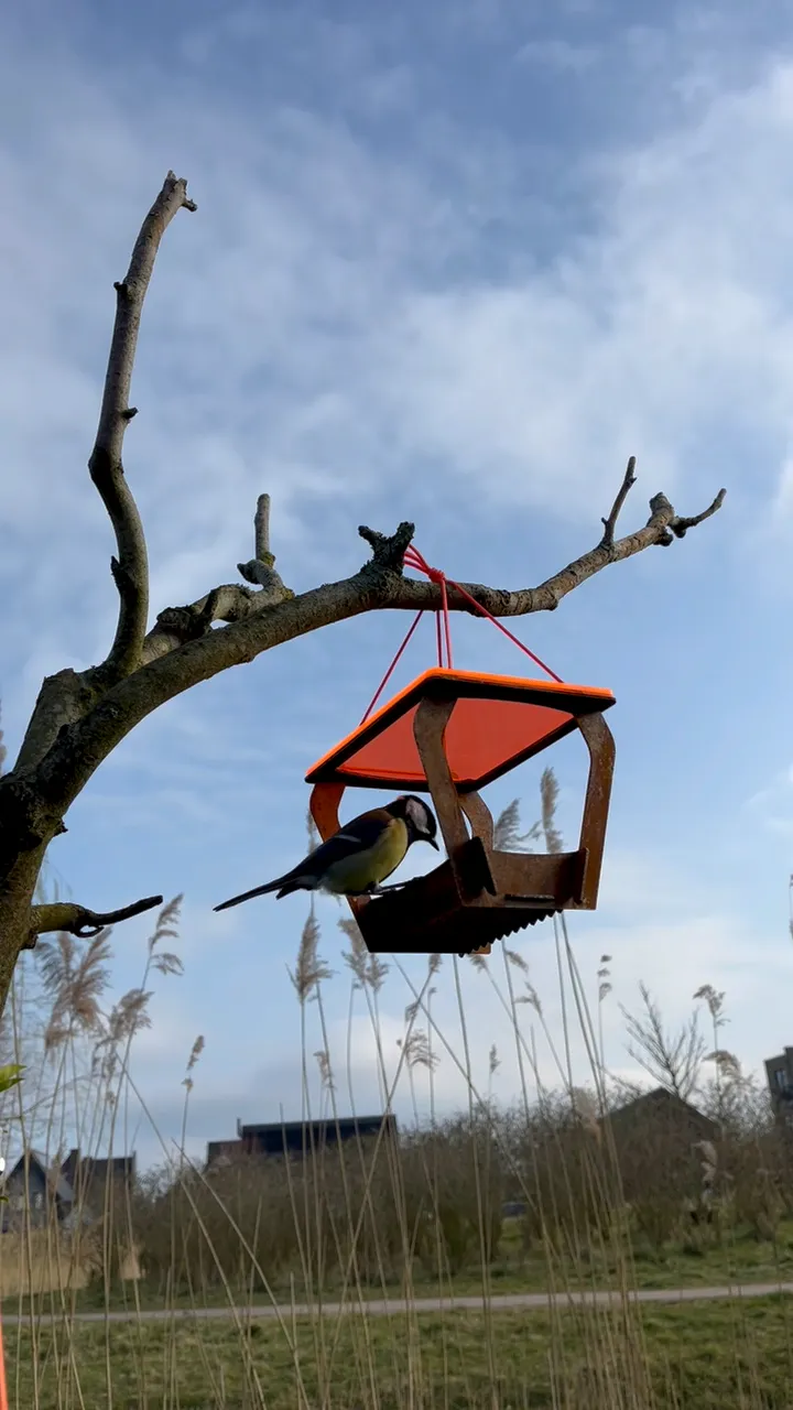 BirdFlirt Oranje - De Tuin in vier seizoenen