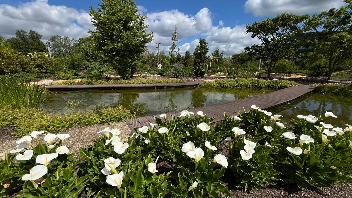 Evolutietuin Botanische Tuinen Utrecht - De Tuin in vier seizoenen