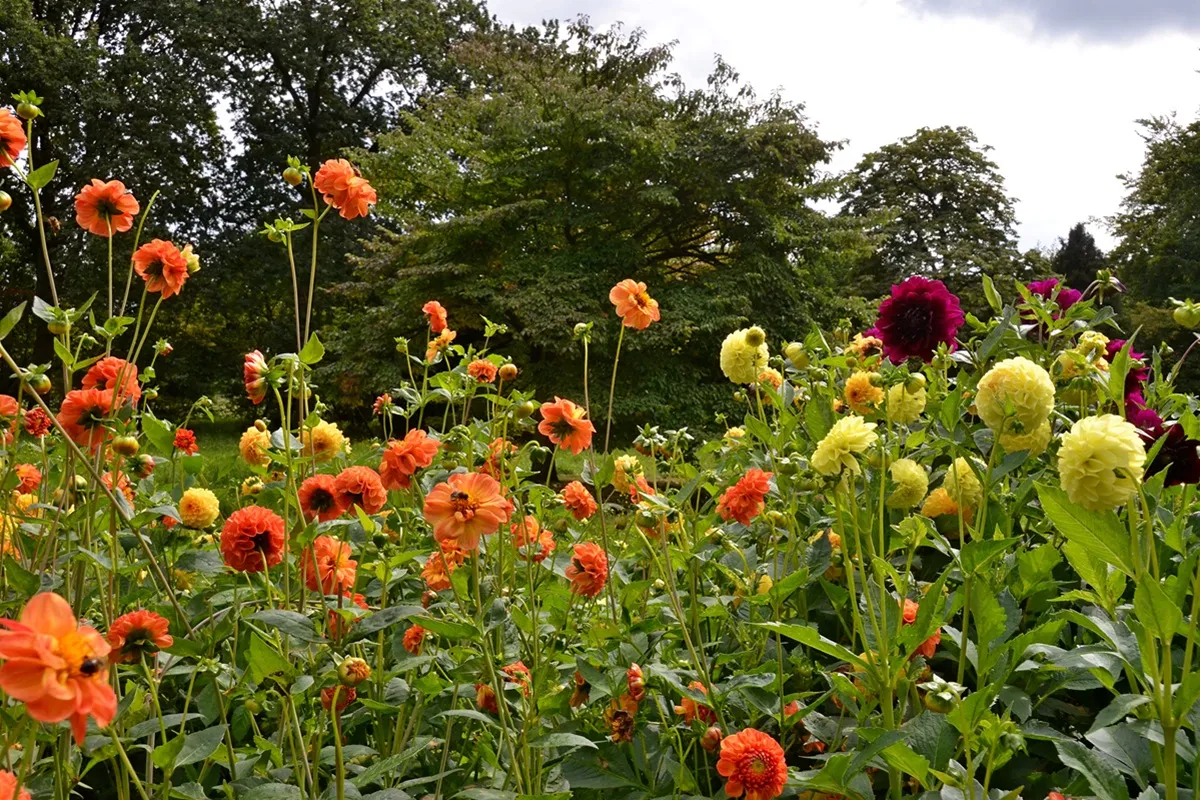 Kasteel De Wildenborch - De Tuin in vier seizoenen