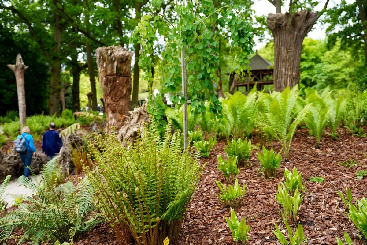 KasteeltuinenArcen Varenvallei JoDaniëls - De Tuin in vier seizoenen