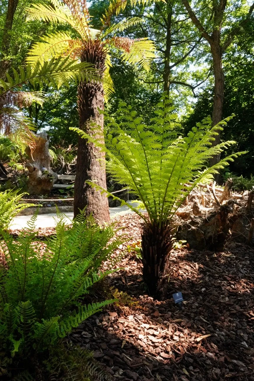 KasteeltuinenArcen Varenvallei JoDaniëls - De Tuin in vier seizoenen