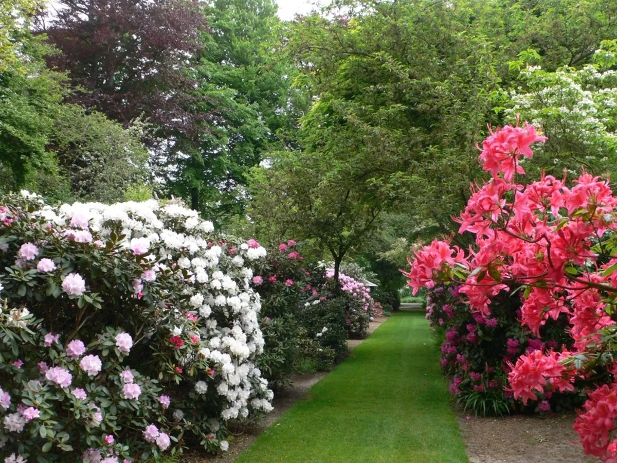 La Feuillerie - Tuinenrally in Henegouwen