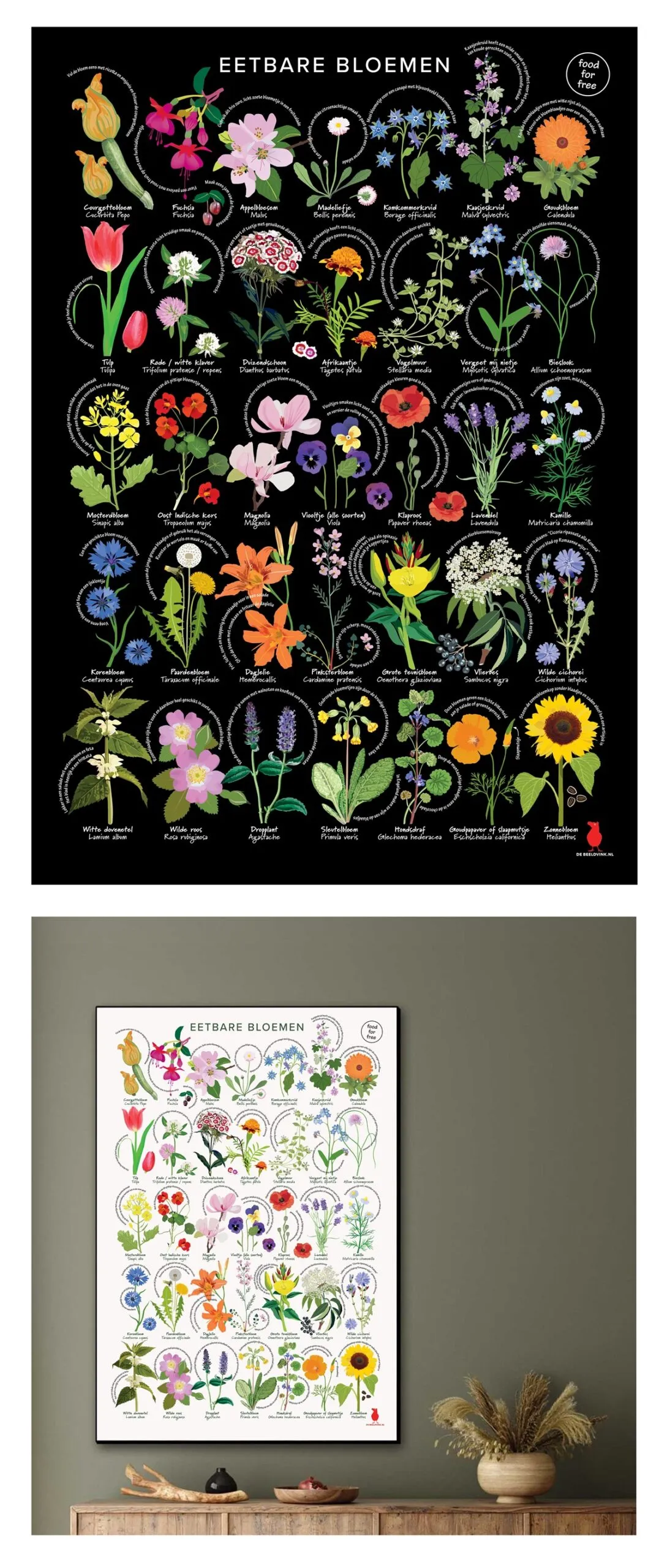 Poster eetbare bloemen Jacqueline Elich - De Tuin in vier seizoenen