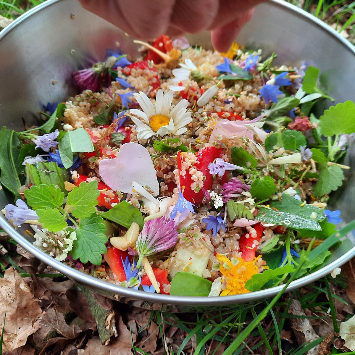 In het Wilde - Eetbare bloemen - De Tuin in vier seizoenen