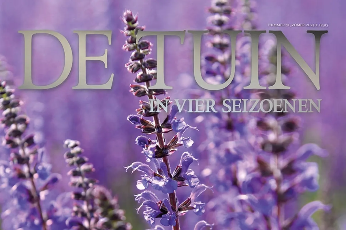 DeTuin in vier seizoenen 51 - zomer 2025