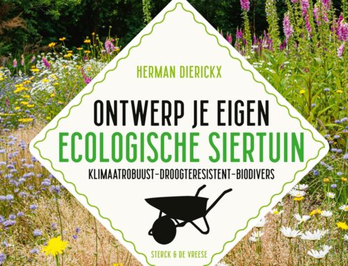 Ontwerp je eigen ecologische siertuin