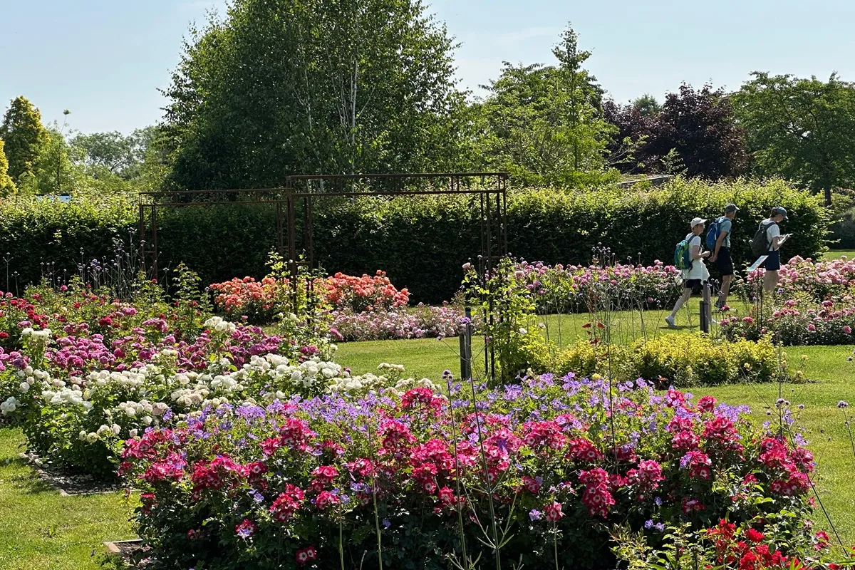 Appeltern Rosarium - De Tuin in vier seizoenen