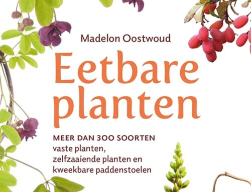 Eetbare planten Madelon Oostwoud