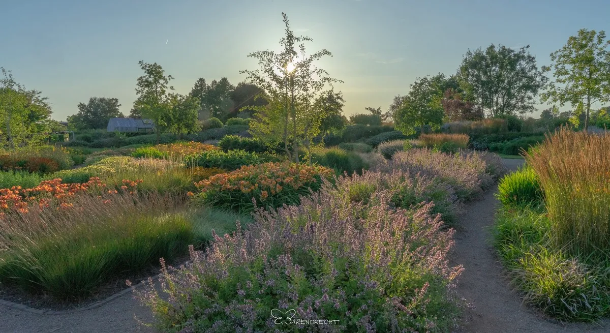 Talloze bloemcombinaties Bloemenpark Appeltern