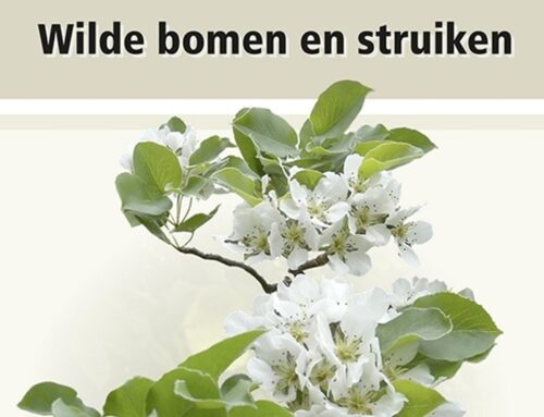 Veldgids Wilde bomen en struiken