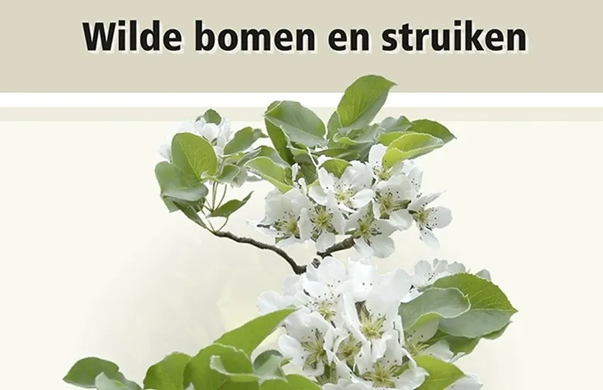veldgids wilde bomen en struiken