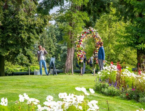 Bloemenevenement Bloemig!