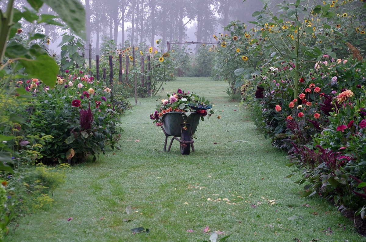 Bloemenpark De Wei