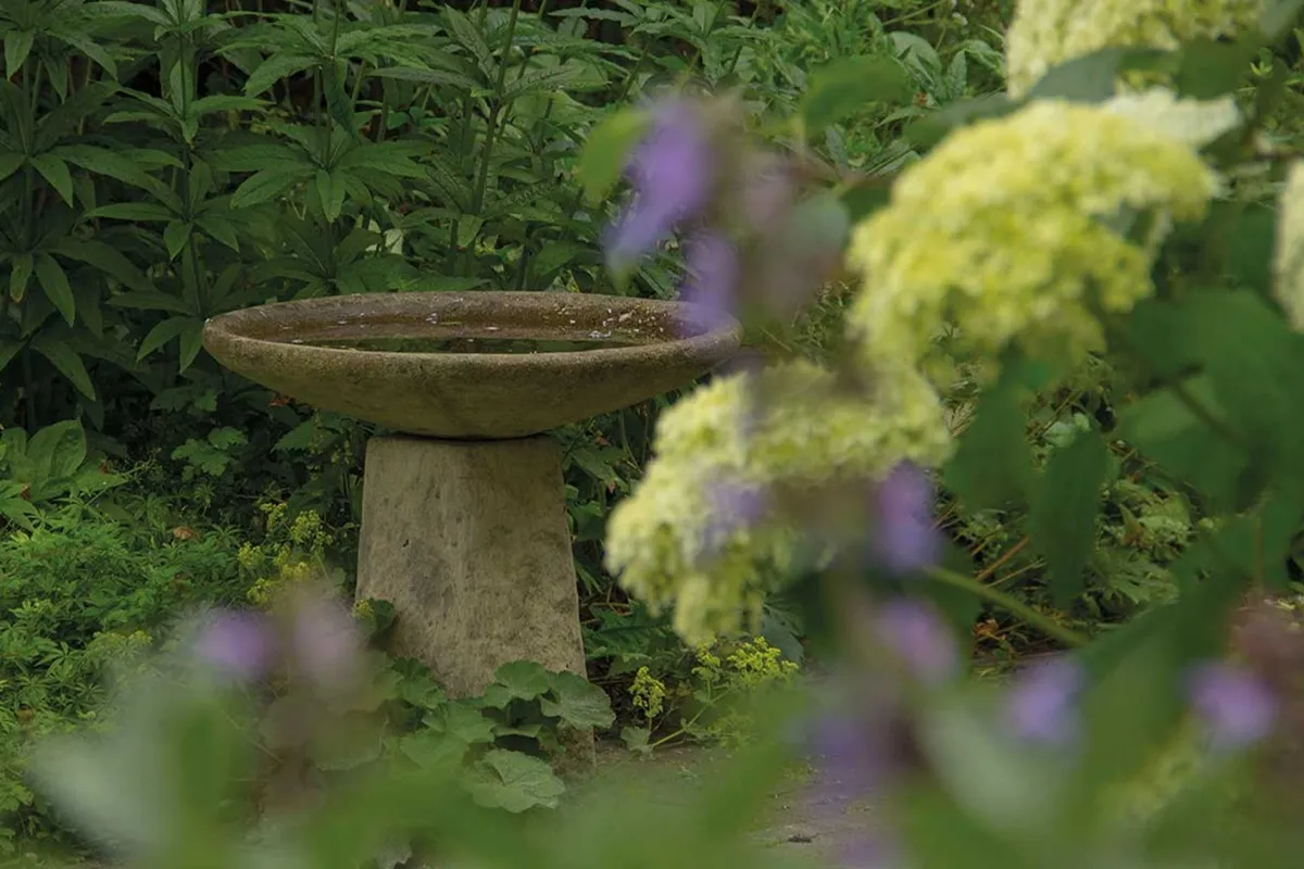 Vogeldrinkschalen-Hovenierscentrum-De-Briellaerd