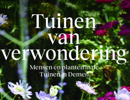Tuinen van verwondering