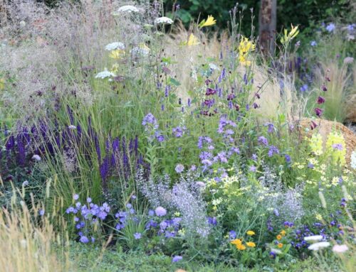 Tuinworkshops 2026