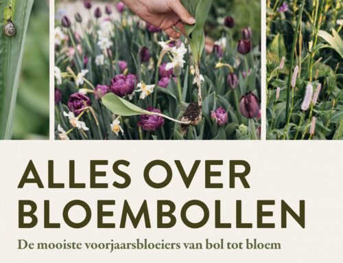 Alles over bloembollen