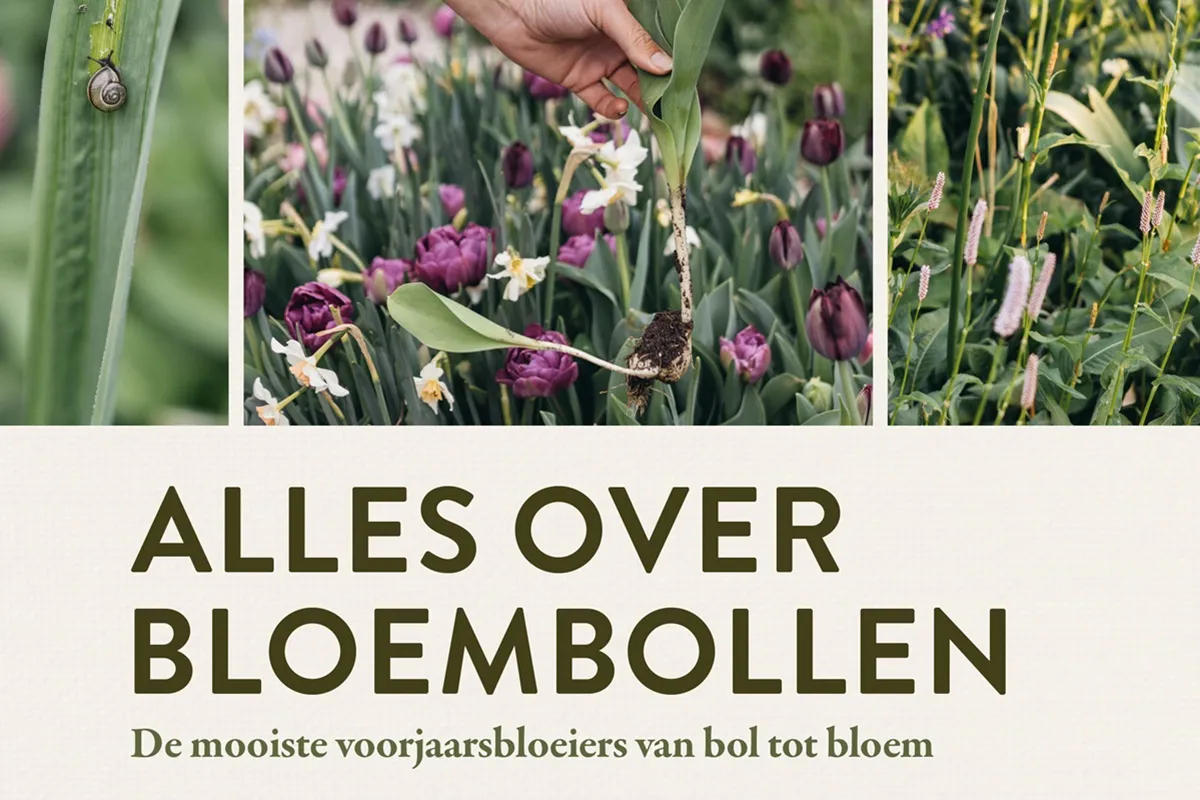 Alles over bloembollen - Uitgeverij Lannoo - De Tuin in vier seizoenen welkomstgeschenk