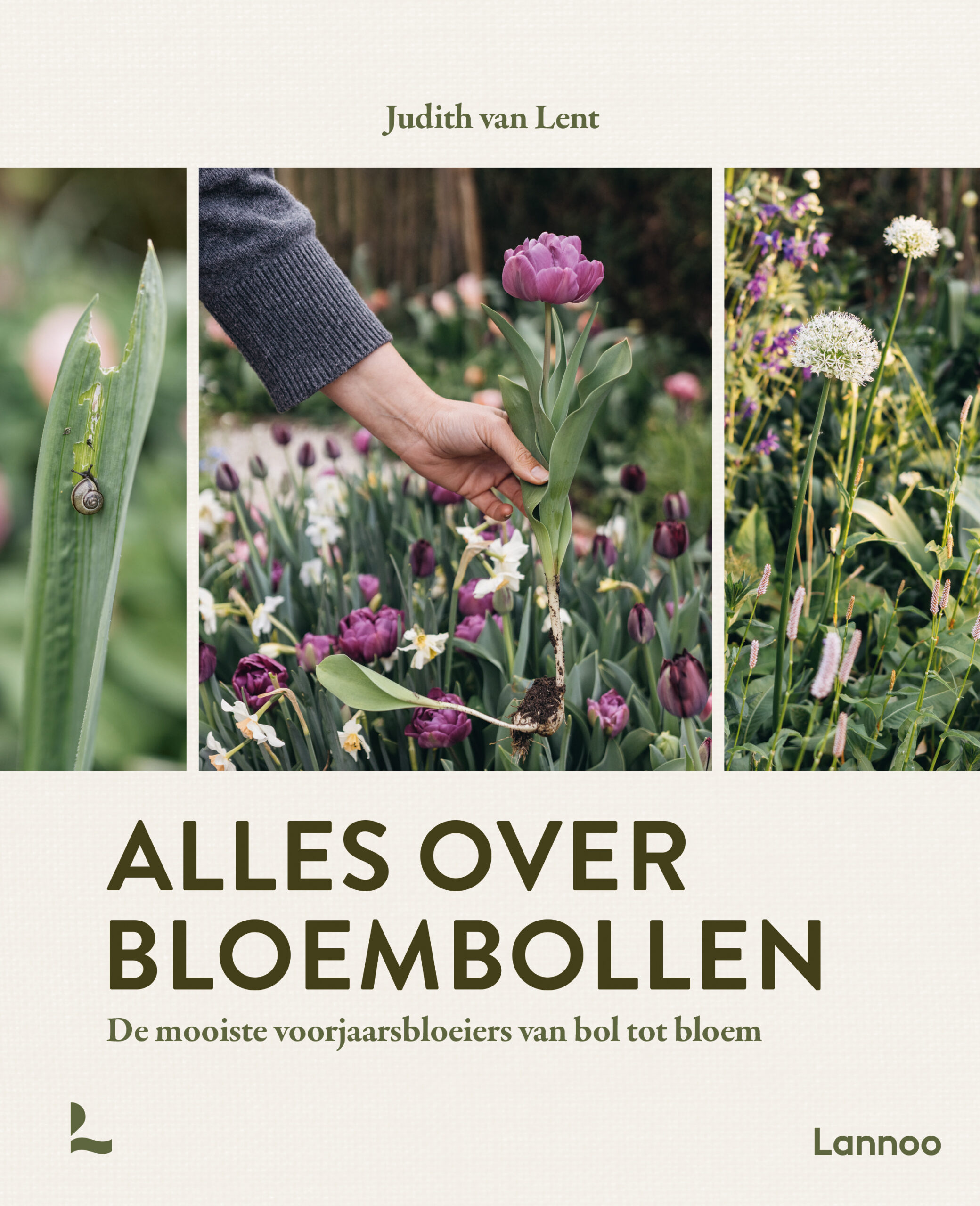 Alles over bloembollen - Uitgeverij Lannoo - De Tuin in vier seizoenen welkomstgeschenk