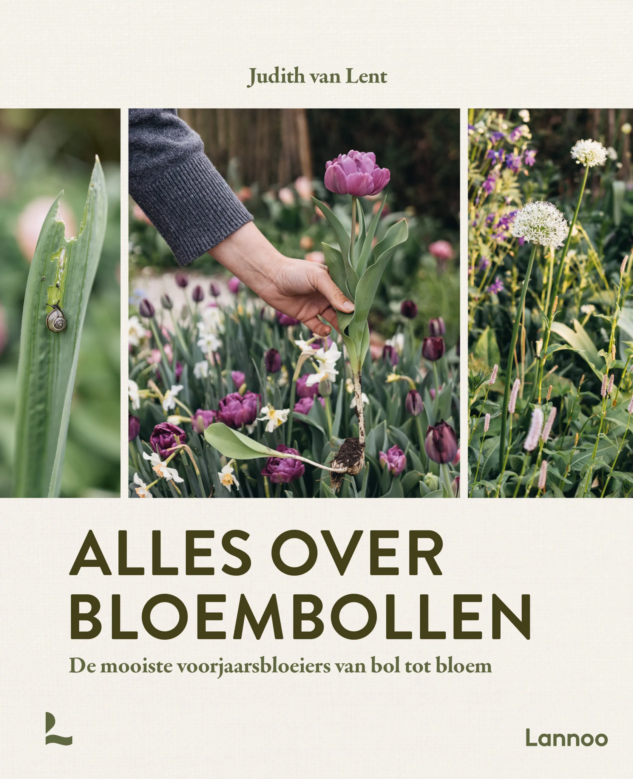 Alles over bloembollen - Uitgeverij Lannoo - De Tuin in vier seizoenen welkomstgeschenk