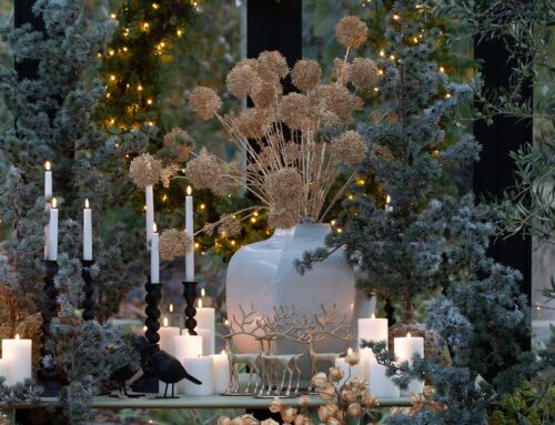 Vier de winter bij Huiting…