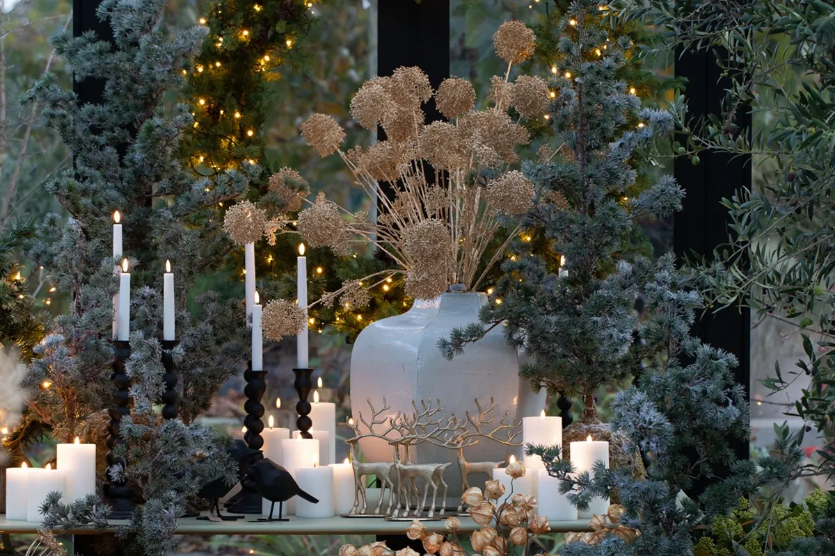 Tuincentrum Huiting kerst