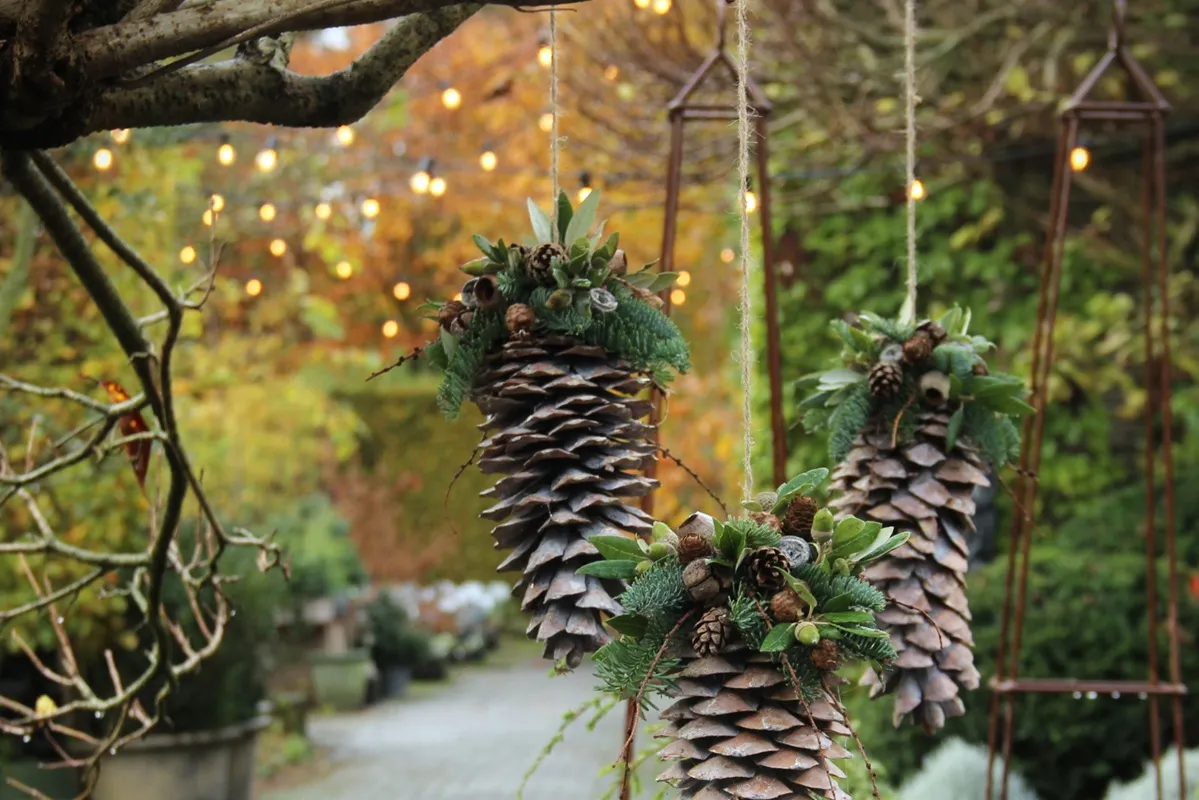 De Briellaerd wintersfeerdagen