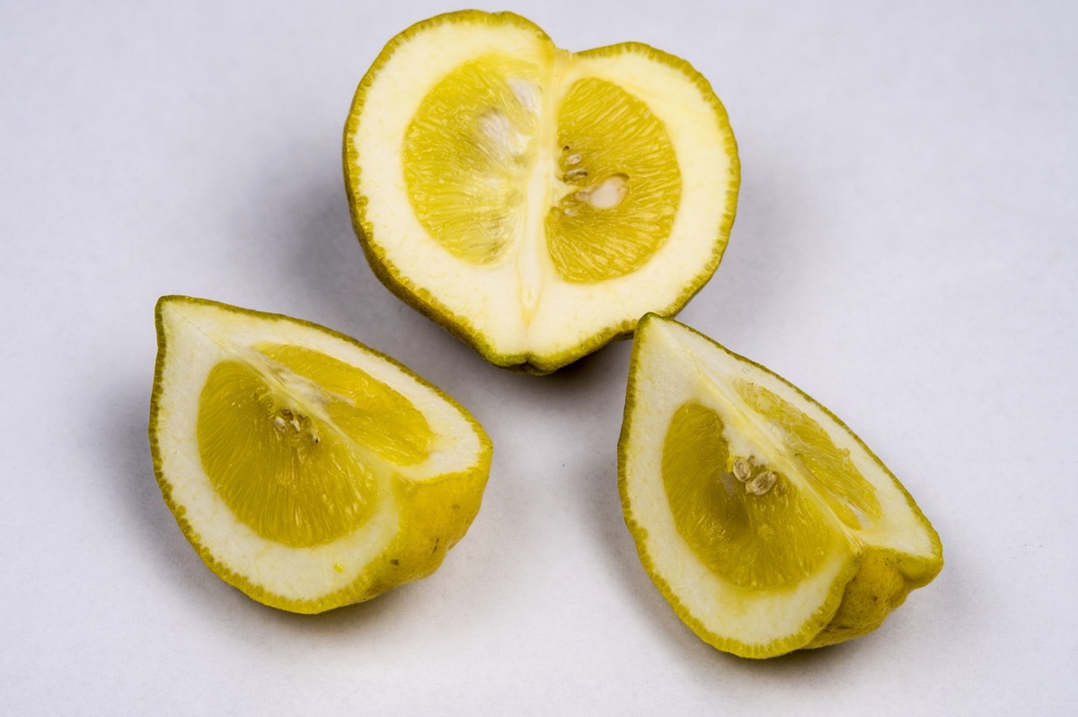 Poncirus trifoliata - Citrus trifoliata - Winterharde Citrusvrucht - De Tuin in vier seizoen 52 -herfst 2025